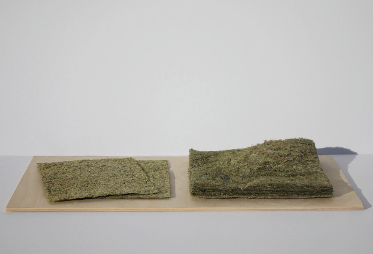 Matière biosourcée